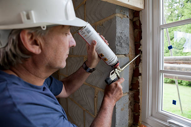 Best Wall Insulation Installation  in Hill N Dale, FL